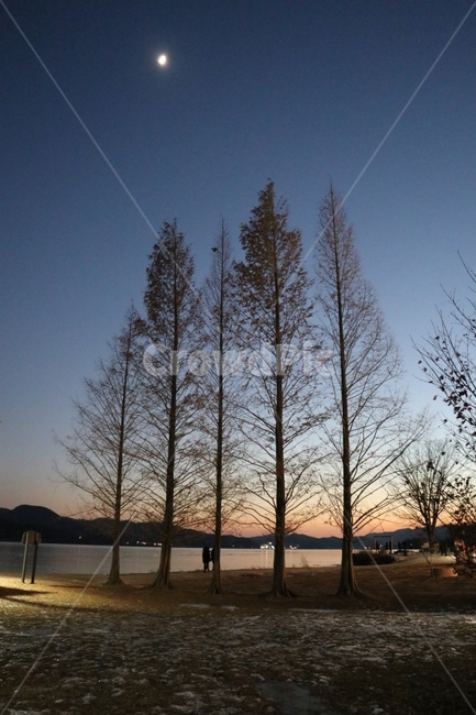 해너미,노을,겨울,나무,하늘,풍경,겨울,계절,winter,season,자연,풍경,nature,landscape,야경,밤,nightscape,night,식물,plants,나무,trees,wood,tree,plant