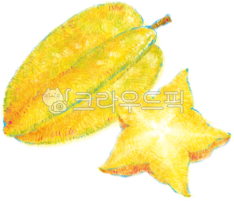 스타프루트,starfruit,스타후르츠,열대과일,과일,별,열매,음식,food,fruit