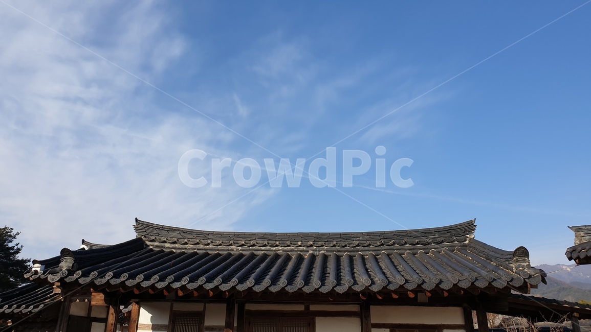고택,기와,옛날집,기와집,돌담,자연,돌담집,한옥집,한옥,지붕,roof,한국전통,한국문화,korean traditional,korean culture,건축물,건물외관,exterior,building,structure,architecture,construction