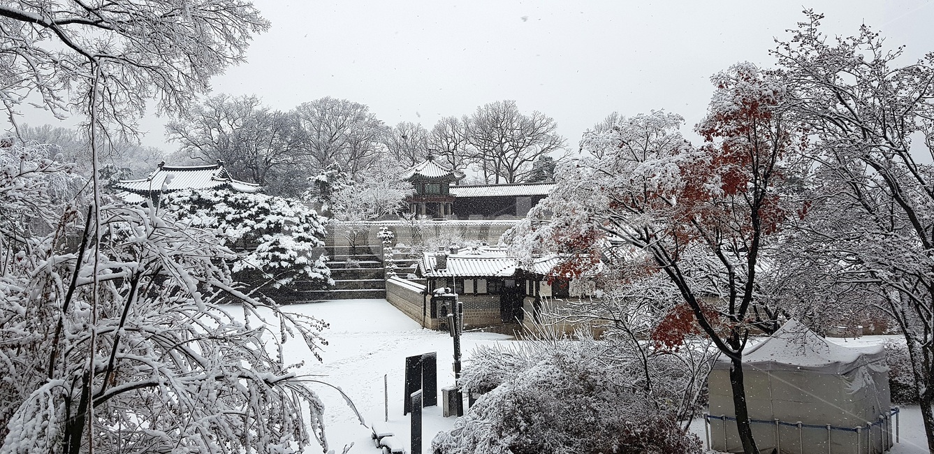 첫눈,창덕궁,낙선재,firstsnow,changdeokgung,changdeokgungnakseonjae,nakseonjae,겨울,계절,winter,season,한국전통,한국문화,korean traditional,korean culture,랜드마크,landmark,tourist attraction,한국랜드마크,한국관광지,한국명소,korea landmark,korea tourist attraction,건축물,건물외관,exterior,building,structure,architecture,construction