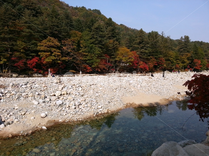 단풍,계곡,물,산,자갈