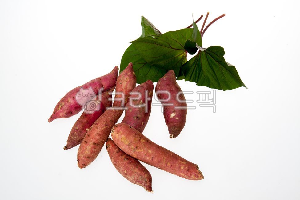 chestnut sweet potato,sweet potato,Roasted Sweet Potato,Honey sweet potato,Fresh sweet potatoes,Pumpkin Sweet Potato