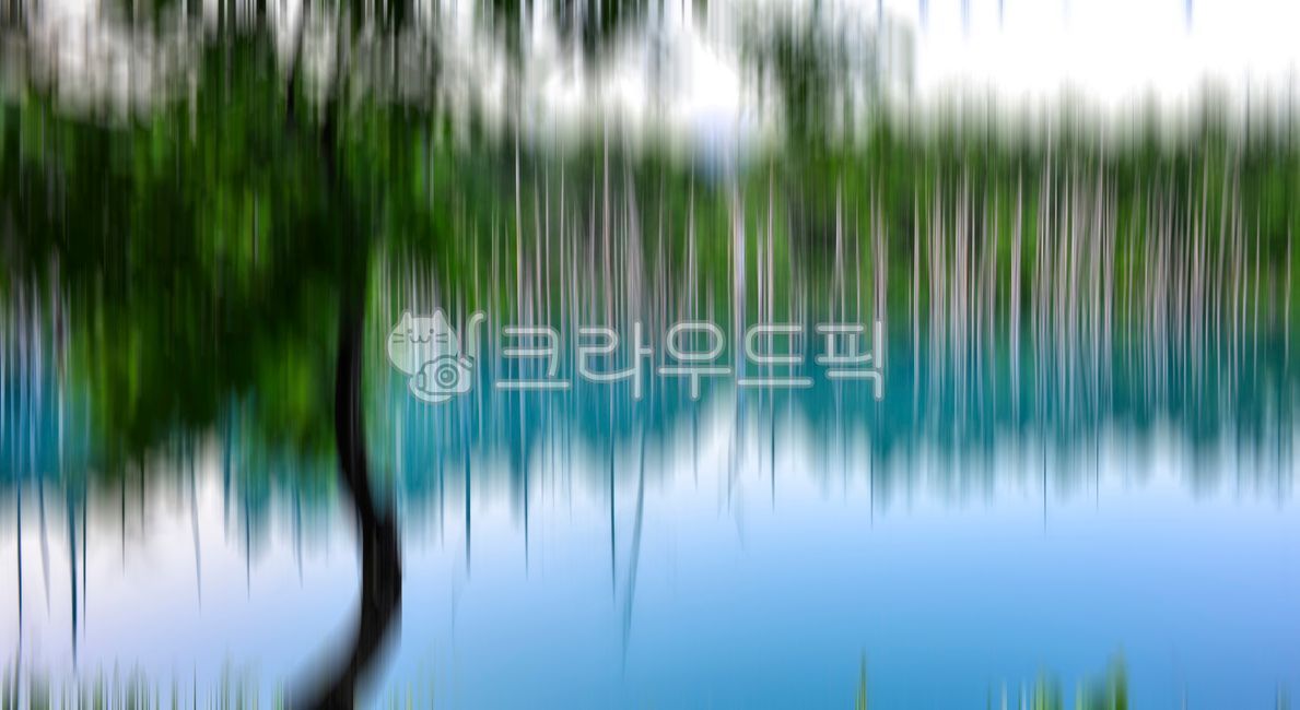blue pond,pond,in the woods,forest,dead wood,reflection,nature,Hokkaido,hokkaido,Aoiike,blue,outdoors,mysterious,garden,lake,park