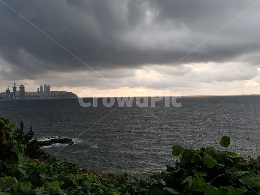 자연,풍경,landscape,nature,summer,sea,일출,바다,바닷가,여름,힐링
