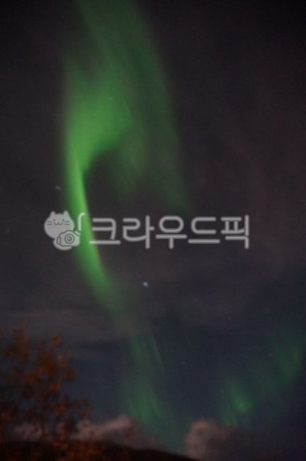 sky,star,nature,night,tree,nightsky,aurora,northernlight,cloud,dancing aurora,outdoors,night sky,dancingaurora