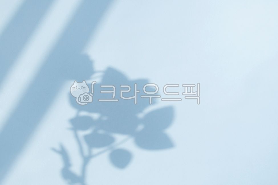 실루엣,그림자,고풍,그런지,꽃,나뭇잎,모양,무늬,반영,백그라운드,텍스처,벽지,복고풍,빈티지,여백,식물,신선,섀도,앤티크,잎,자연,추억,추상,카피스페이스,풍경,흐림,결,네이처,바탕,창가,공백,벽,인테리어,장미,블루,하늘색