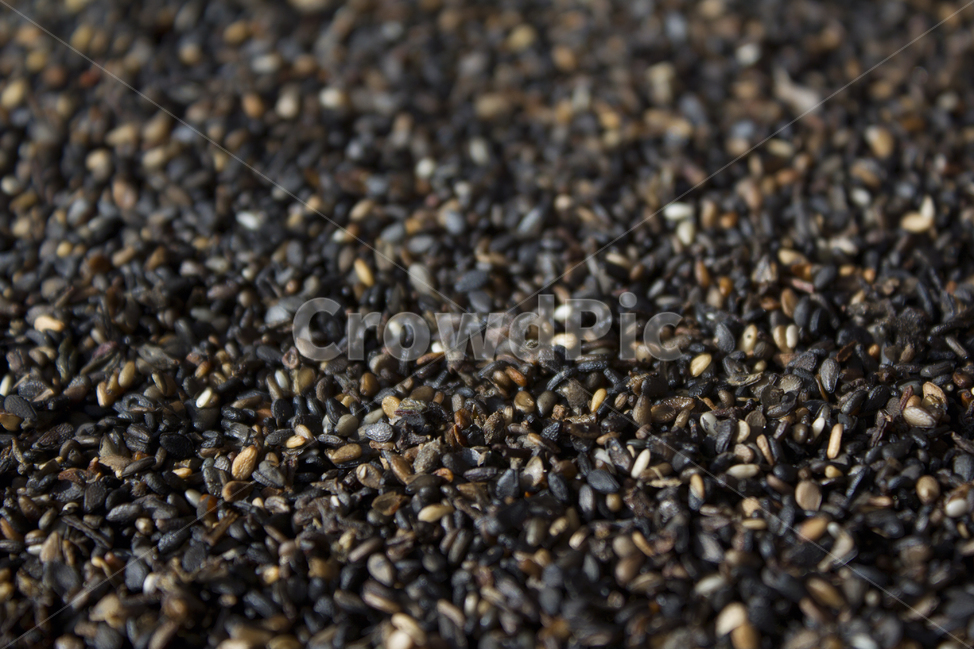 closeup,dry,dummy,food,grain,macro,meal,natural,nature,organic,plant,seed,seeds,sesame,sesameseed,sesameseeds,깨,참깨,곡식,곡류,음식,음식재료,식재료,식물,씨앗,씨,말린,말리는,건조,자연,클로즈업,깨소금,농작물,농촌,농사,검정,블랙,검은색,black,검은깨,아웃포커스,포커스아웃,블러