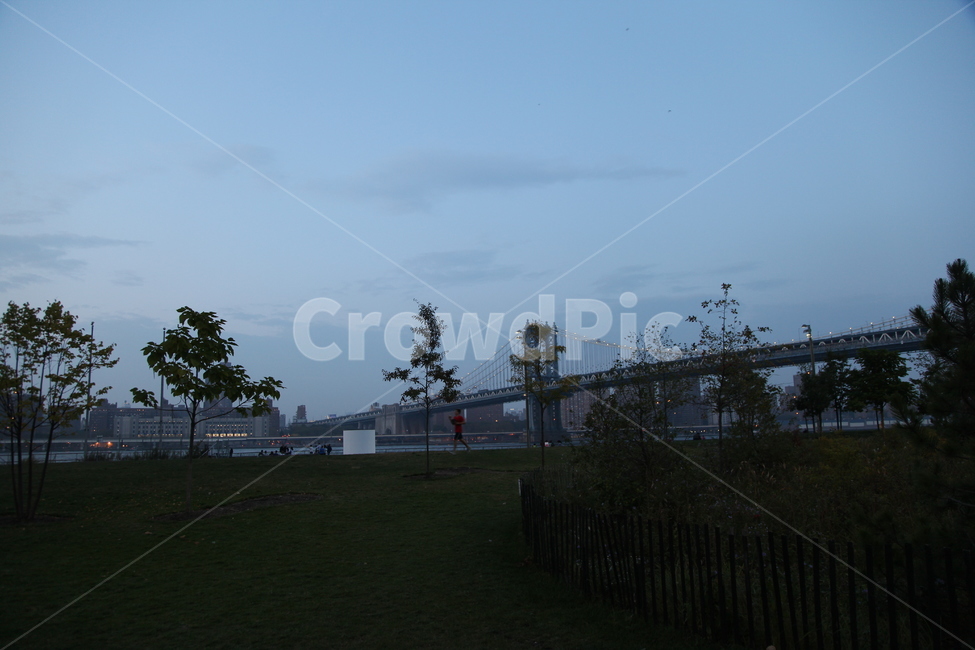 newyorkmanhattan,newyork,manhattan,맨하튼,뉴욕,덤보,브루클린,도시,풍경,city,landscape,해외,외국,세계,foreign,oversea,world,세계도시풍경,해외도시풍경,외국도시풍경,world cityscape,plant,식물,grass,잔디