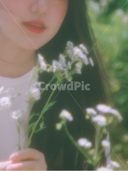 꽃,소녀,소녀감성,은은한,감성사진,사람,인물,식물,자연,plants,nature,꽃,flower,사람,인물,인간,human,person,여성,여자,woman,female,lady,감성,sensible,feeling