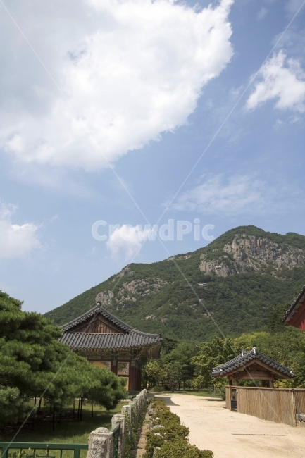 사진,단독사진,디자인,소스,포토,사진자료,배경,배경사진,풍경,한국,전통,민속,사찰,절,불교,종교,하늘,기와,기와집,푸른하늘,전통가옥,한옥,건축,건축물,건축양식,기와지붕,지붕,동양,소나무,와송,한국전통,한국문화,korean traditional,korean culture,종교,신앙,religion,belief,faith