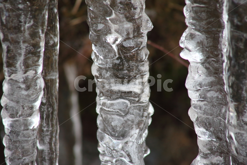 ice,얼음,winter,겨울,고드름