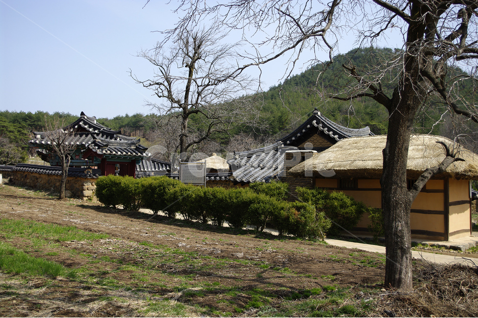기와,지붕,기와지붕,한국,전통가옥,왕곡마을,시골,마을,흙담,담장,담,초가집,시골,마을,풍경,landscape,country,rural,town,한국전통,한국문화,korean traditional,korean culture