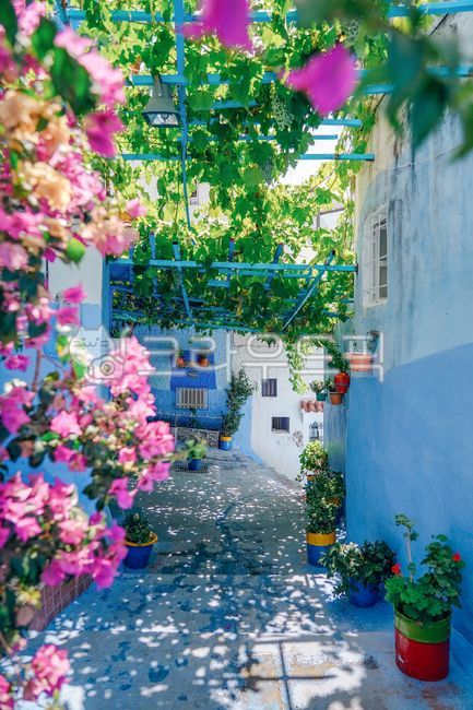 sidewalk,path,distance,blue,Morocco,tourism,walkway,Passage,foreign country,flower