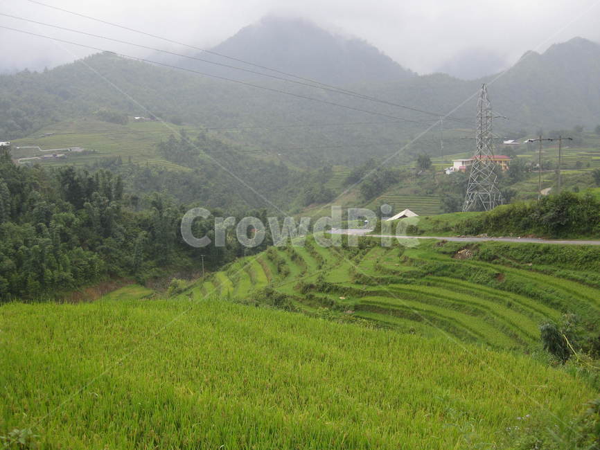 동남아,nature,자연,outdoors,옥외,grassland,목초지,field,들,countryside,시골,다랭이논