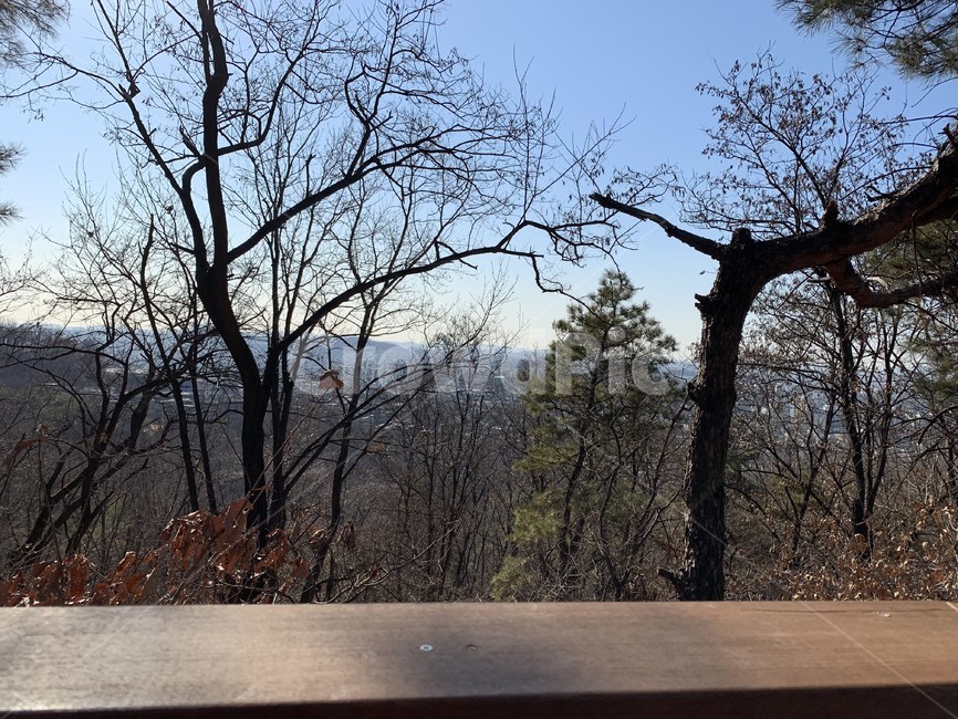 산,산풍경,나무,풍경,tree,자연,풍경,nature,landscape,plant,식물,tree trunk,나무 줄기