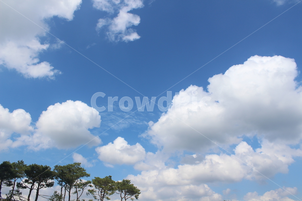 nature,푸른하늘,하늘,sky,outdoors,옥외,자연,자연,풍경,nature,landscape,나무,trees,wood,azure sky,푸른 하늘