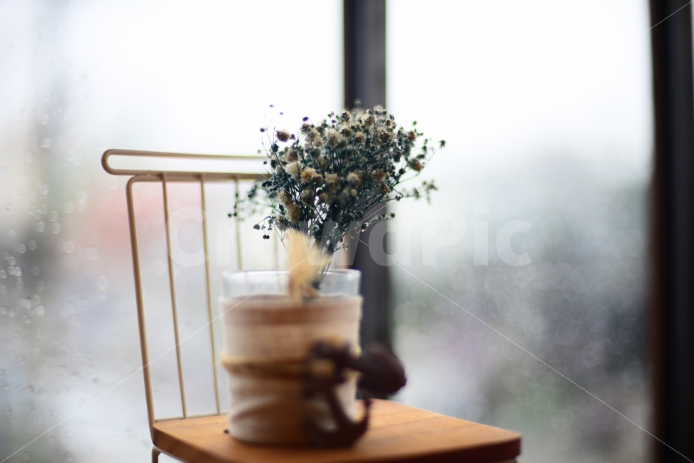 꽃,자연,분위기,비,카페,여유로움,드라이플라워,창문,여행,식물,자연,plants,nature,꽃,flower,실내용화초,화분,화초,house plant,감성,sensible,feeling,인테리어,실내디자인,interior design