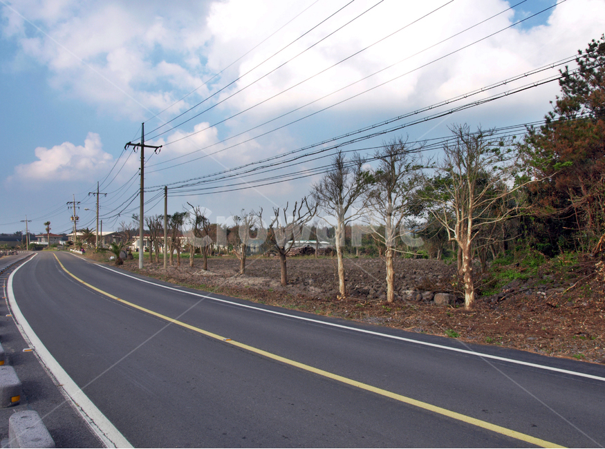 도로,올레4코스,올레길,제주,서귀포시,표선,자연,풍경,nature,landscape,제주도,jeju,jeju island,road,tarmac,타맥,asphalt,아스팔트,highway,고속도로,freeway,고속 도로