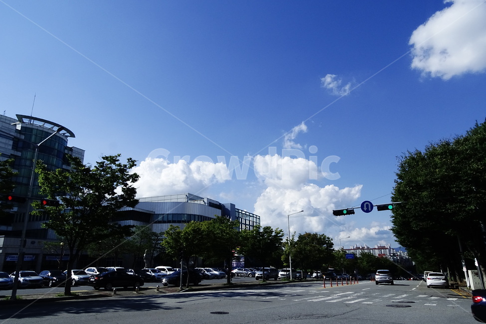 nature,자연,weather,날씨,cloud,구름,cumulus,적운,sky,하늘,교차로,도로,road,intersection,도시,풍경,city,landscape,한국도시풍경,한국도시경관,korea cityscape
