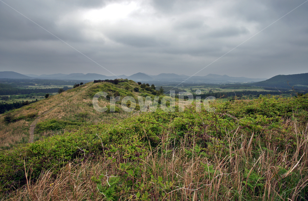 갑마장길,제주도,표선면,가시리,트레일,오름,따라비오름,자연,풍경,nature,landscape,제주도,jeju,jeju island