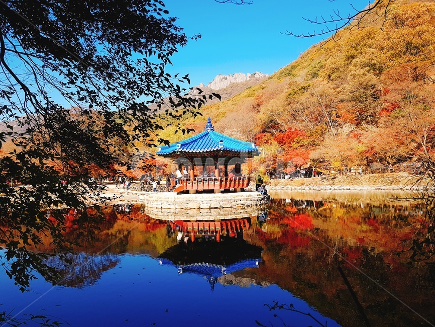 가을,단풍,정자,자연,풍경,가을,계절,fall,autumn,season