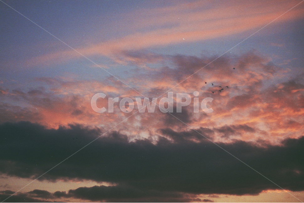 노을,하늘,구름,일몰,감성,파스텔,주황,날씨,새,sunset,sky,pastel,moody,mood,따뜻함,정열,자연,풍경,nature,landscape,감성,sensible,feeling,outdoors,옥외
