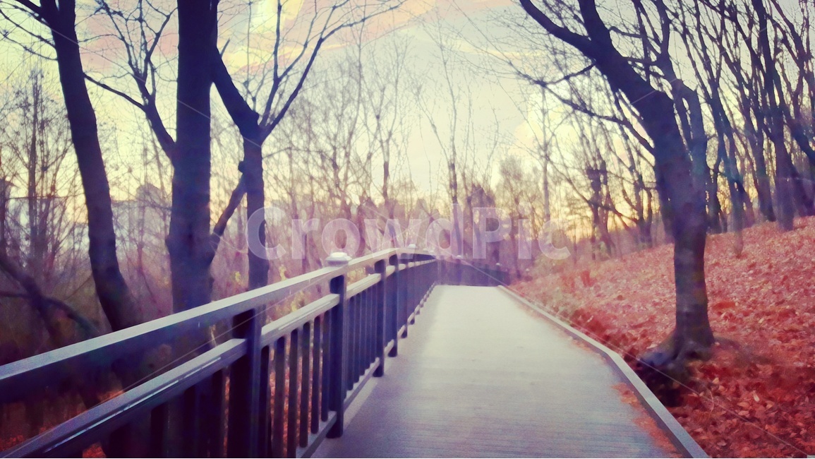 가을,산,산책로,노을,하늘,숲,가을,계절,fall,autumn,season,자연,풍경,nature,landscape,banister,난간,handrail