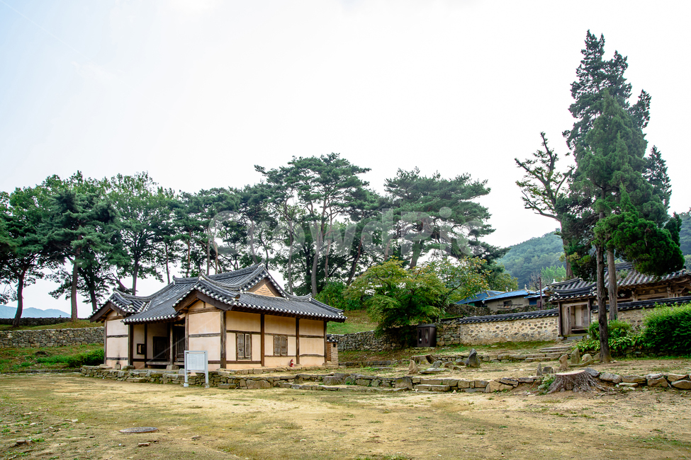 맹사성,고택,맹씨,행단,아산시,충남,유적,조선