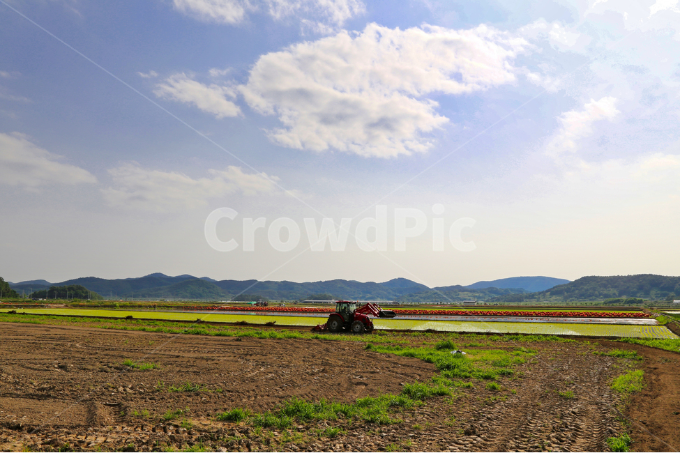 트랙터,로타리,로타리작업,밭갈기,밭갈이,자연,풍경,nature,landscape,시골,마을,country,rural,town,산업,industry,industrial,농업,농사,agriculture,farming,farming industry,gravel,자갈,dirt road,흙길,road,도로,outdoors,옥외,ground,바닥