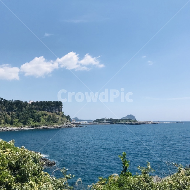 제주도,바다,풍경,제주바다,하늘