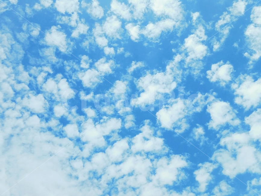 파란하늘,하늘,구름,뭉게구름,방울,구름방울,하얀구름,sky,bluesky,clouds,cumulus,자연,풍경,nature,landscape,outdoors,옥외,azure sky,푸른 하늘