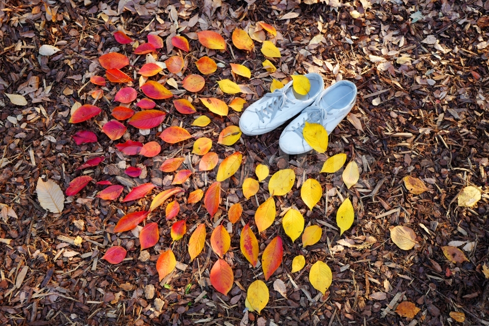 낙엽,낙엽줍기,가을,나뭇잎,단풍,신발,감성,가을감성,단풍놀이,가을,계절,fall,autumn,season,감성,sensible,feeling,사물,물건,오브젝트,thing,object,matter,연출,컨셉,콘셉,direction,concept,ground,바닥,plant,식물,leaf,잎