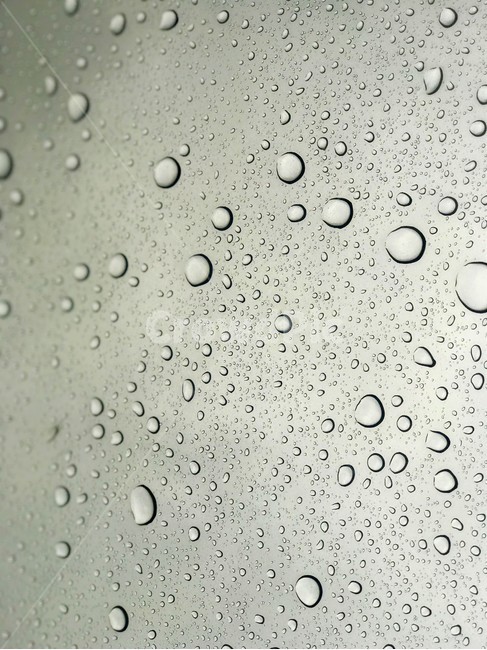 빗방울,비,송글송글,raindrop,rain,비,비오는날,rain,rainy