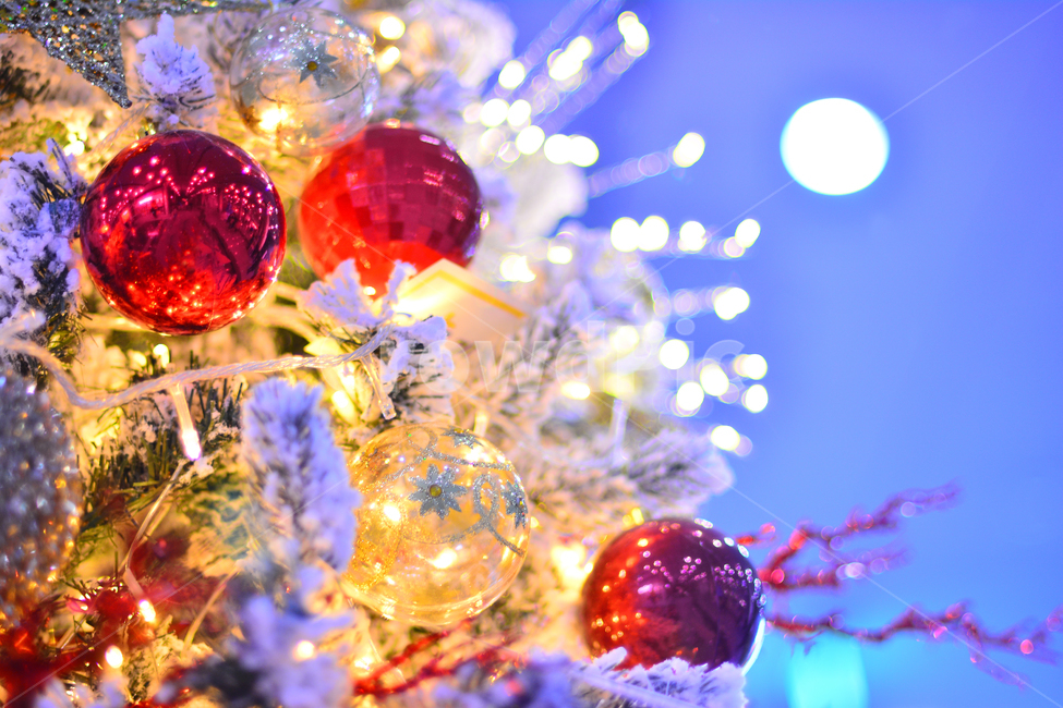 크리스마스,성탄절,장식물,트리,데코레이션,디스플레이,전시용,크리스마스볼,christmas,xmas,예수탄생일,공,볼,원형,조명,전구,빛,라이트반사,광택,분위기,배경,바탕,백그라운드,칼라풀,colorful,decoration,display,ball,light,빨강색,레드