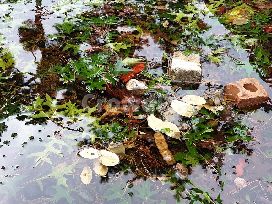 자연,벽돌,낙엽,계곡,물비침,물반사,잎,식물,자연,plants,nature