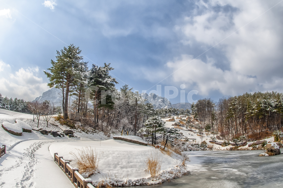 설악산,울산바위,골프장,델피노cc,설경,흰눈,겨울,계절,winter,season,자연,풍경,nature,landscape