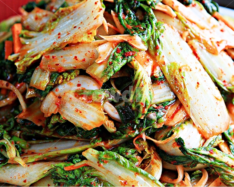 얼갈이김치,김치,먹거리,음식,한식,요리,음식,식재료,요리,food,cook,meal,dishes,food reserves,채소,야채,vegetables,한식,한국음식,한국요리,korean food,korean dishes,korean meal,korean cook