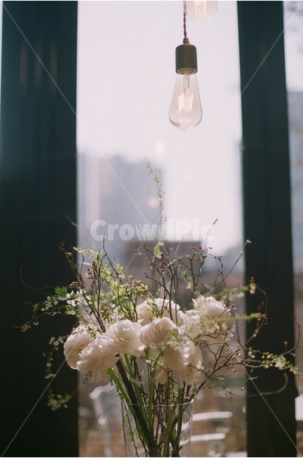 꽃,꽃사진,꽃병,전구사진,예쁜전구,감성사진,소품사진,식물,자연,plants,nature,꽃,flower,실내용화초,화분,화초,house plant,감성,sensible,feeling,인테리어,실내디자인,interior design