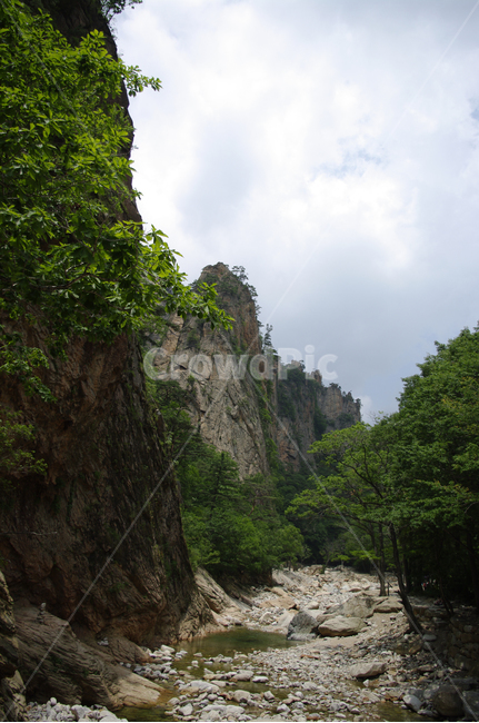산,계곡,바위,풍경,나무,설악산,자연,풍경,nature,landscape,cliff,낭떠러지,outdoors,옥외