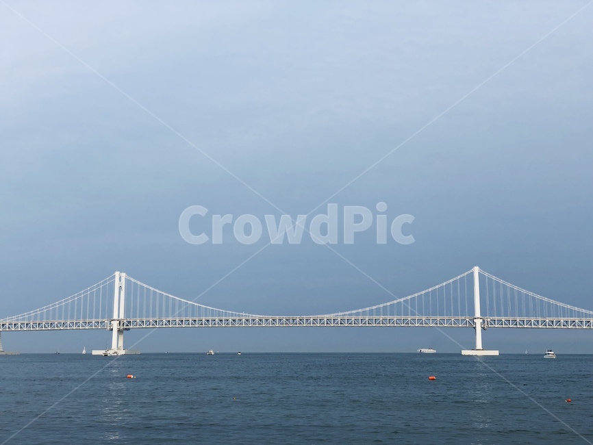 부산,광안리,광안대교,대교,바다,다리