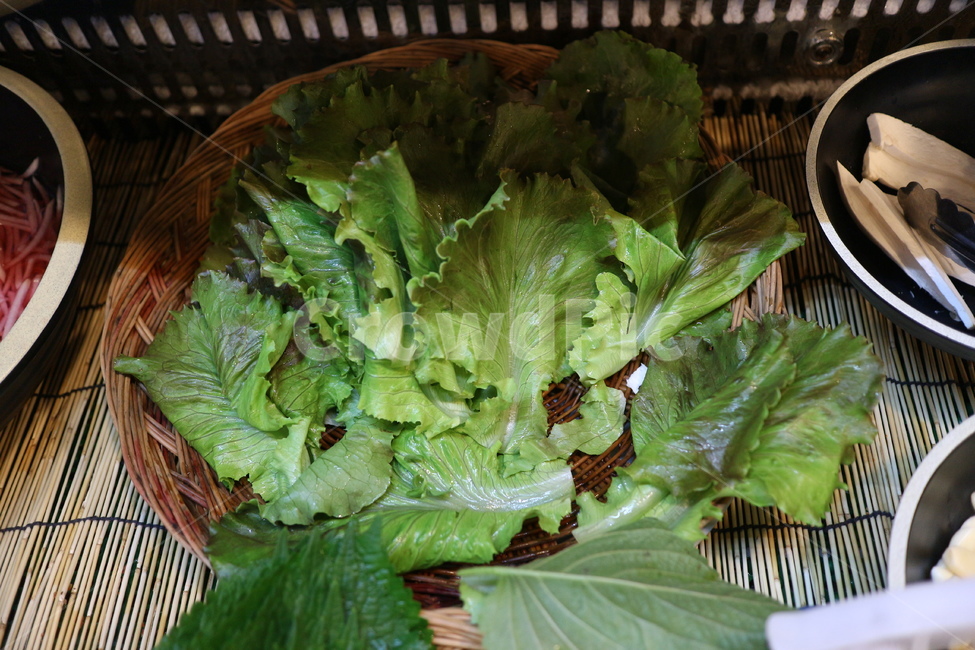 상추,야채,채소,lettuce,쌈채소
