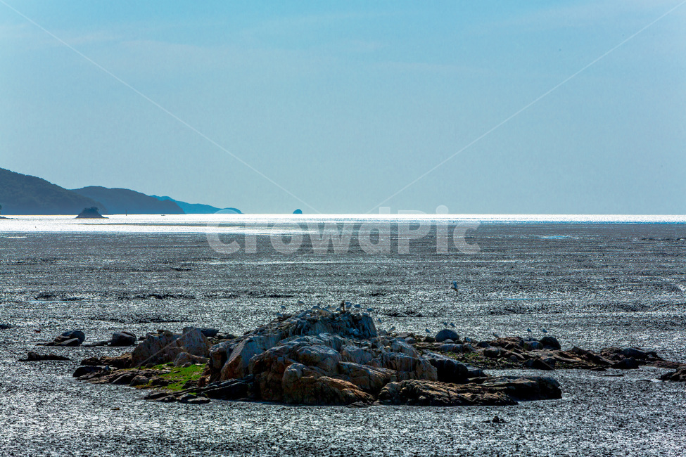 영종도,갯벌,환경,썰물,문양,무늬,감성,철새,자연,풍경,nature,landscape,한국자연풍경,한국자연경관,korea nature landscape