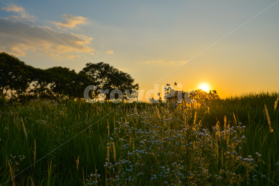 구름,하늘,야외,sky,cloud,nature,목초지,자연,outdoors,field,옥외,들,grassland,자연,풍경,nature,landscape