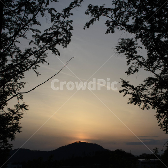 노을,nature,산,자연,나무가지,플레어,outdoors,옥외,sunlight,햇빛,flare,light