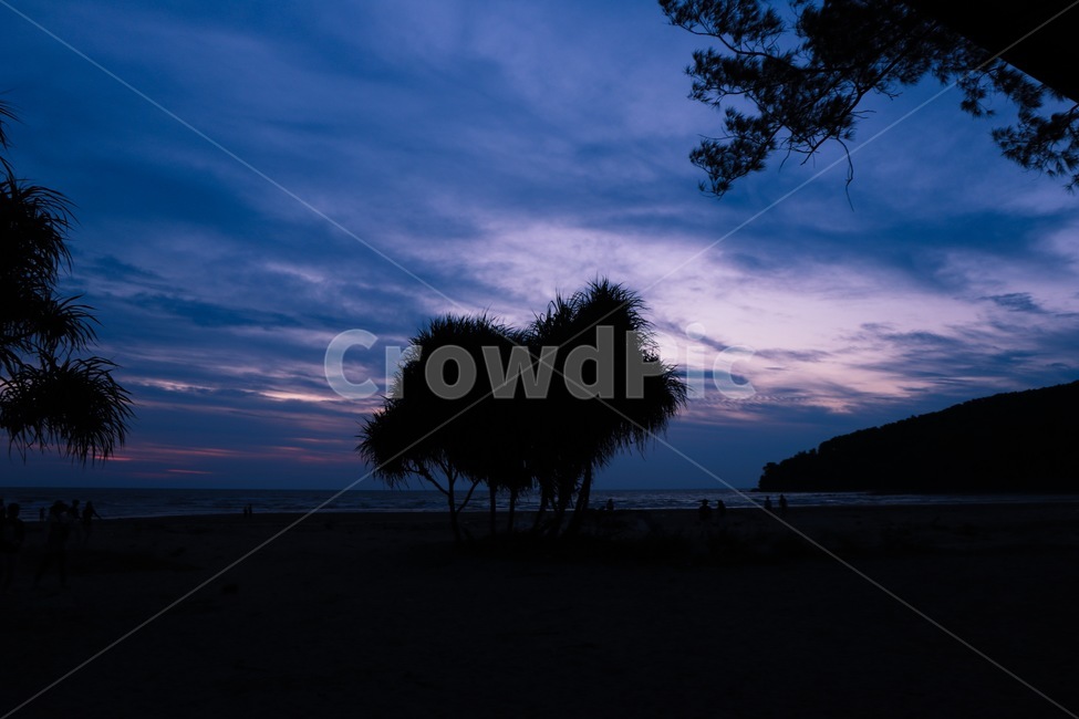 감성,코타키나발루,야자수,해변,해질녘,바닷가,자연,풍경,nature,landscape,실루엣,그림자,silhouette,shadow,outdoors,옥외