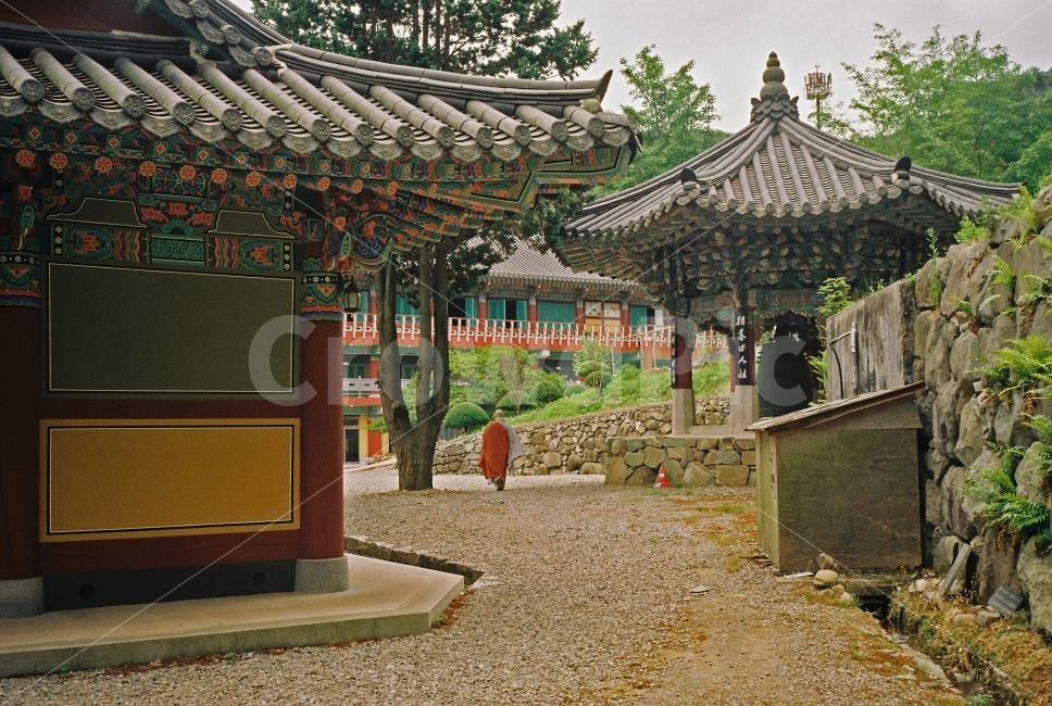 절,사찰,스님,한옥,전통,전통사찰,전통건축,감성,풍경,필카,필름카메라,나무,숲,자연,용화사,통영,한국전통,한국문화,korean traditional,korean culture,종교,신앙,religion,belief,faith,감성,sensible,feeling,건축물,건물외관,exterior,building,structure,architecture,construction