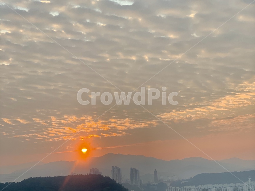 nature,자연,플레어,light,빛,노을,감성