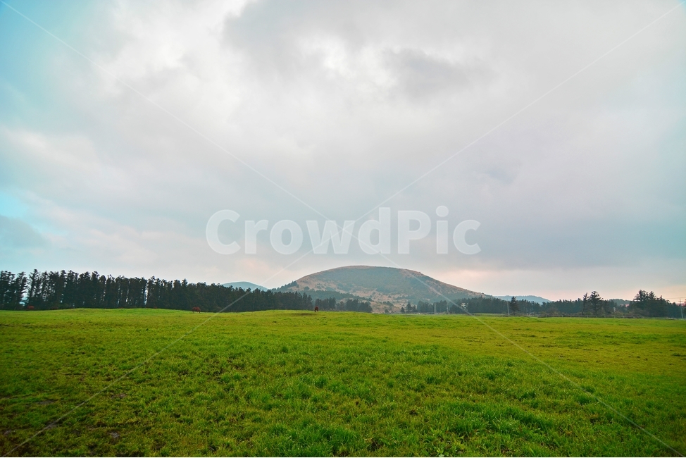 제주,제주도,제주시,마방목지,초원,잔디,하늘,나무,초록색,자연,풍경,nature,landscape,제주풍경,목장,제주코스,제주인기,산책,산책길,제주유산,제주명소,천연기념물,제주마,여의도4배면적,봄날씨,계절,녹색풍경,자연,풍경,nature,landscape,한국자연풍경,한국자연경관,korea nature landscape,제주도,jeju,jeju island,field,들,grassland,목초지,outdoors,옥외
