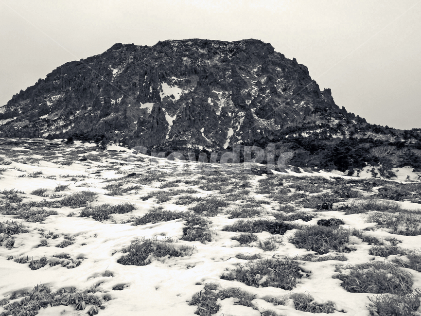 어리목,제주도,한라산,겨울산,겨울,설경,설화,눈,백록담,흑백,겨울,계절,winter,season,자연,풍경,nature,landscape,흑백,모노톤,monochrome,black and white,outdoors,옥외,mountain,산