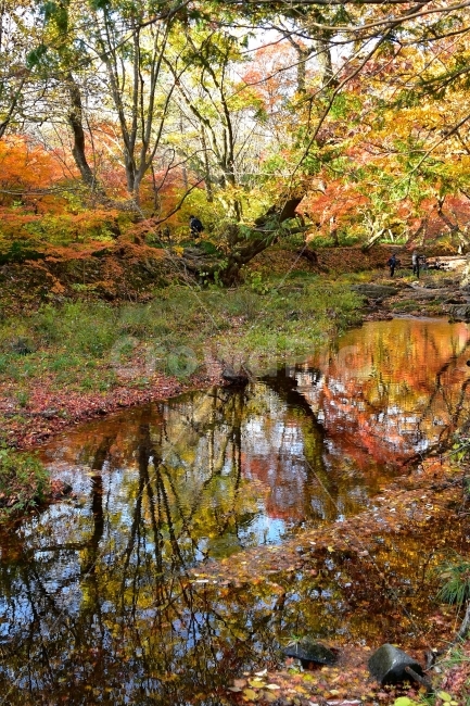 선운산,선운사,도솔천,가을,풍경,단풍,자연,탐방,파란하늘,가을색,오색,울긋불긋,알록달록,그림같은,칼라풀,뷰티플,아름다운,힐링,감성,정취,산세,명산,100대명산,nature,산,등산,트레킹,풍경사진,비경,경치,가을사진,가을색채,가을의정취,맑음,청명,사진,가을,계절,fall,autumn,season,자연,풍경,nature,landscape,한국자연풍경,한국자연경관,korea nature landscape,land,땅,outdoors,옥외,water,물
